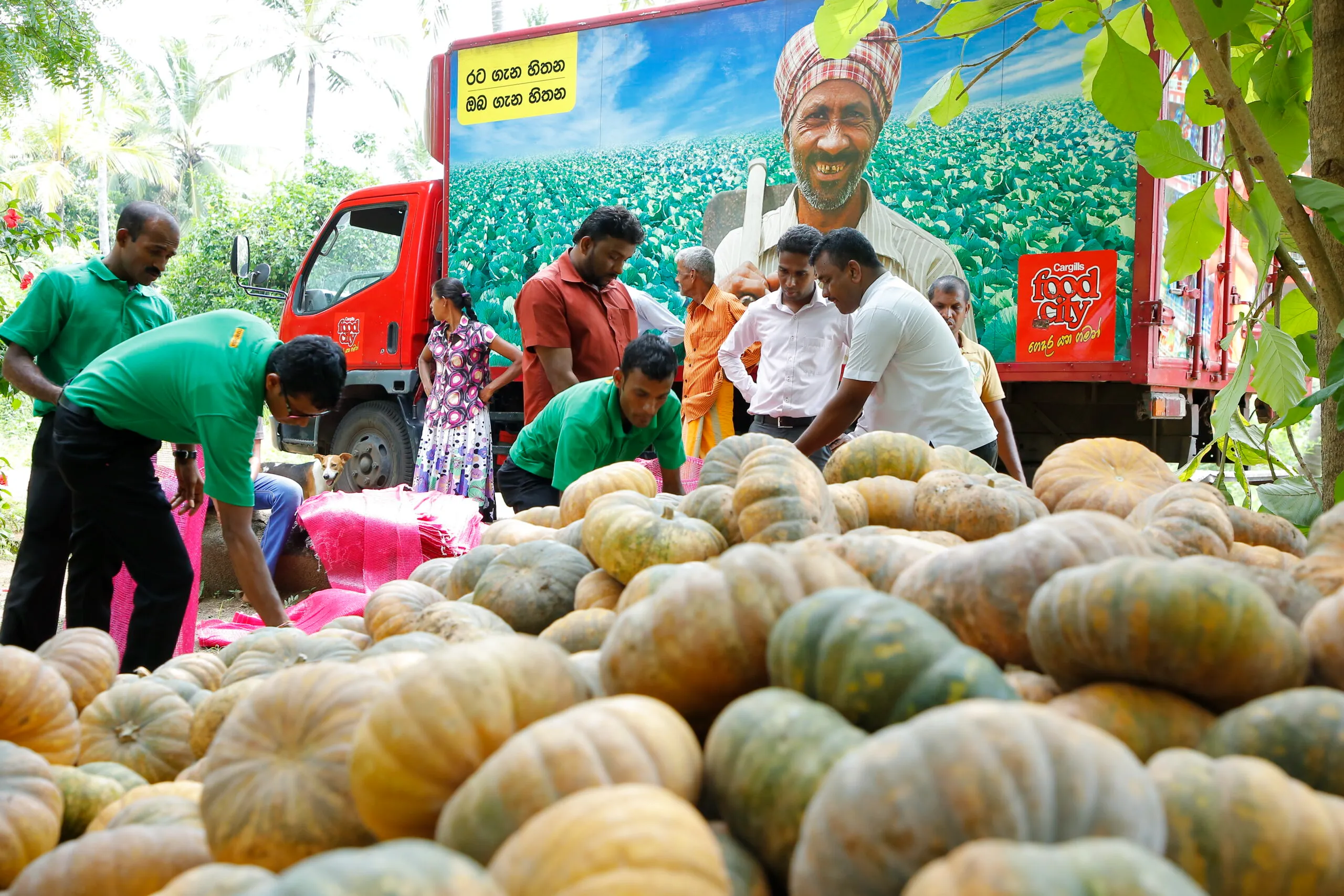 Feeding of people from the farm to the fork